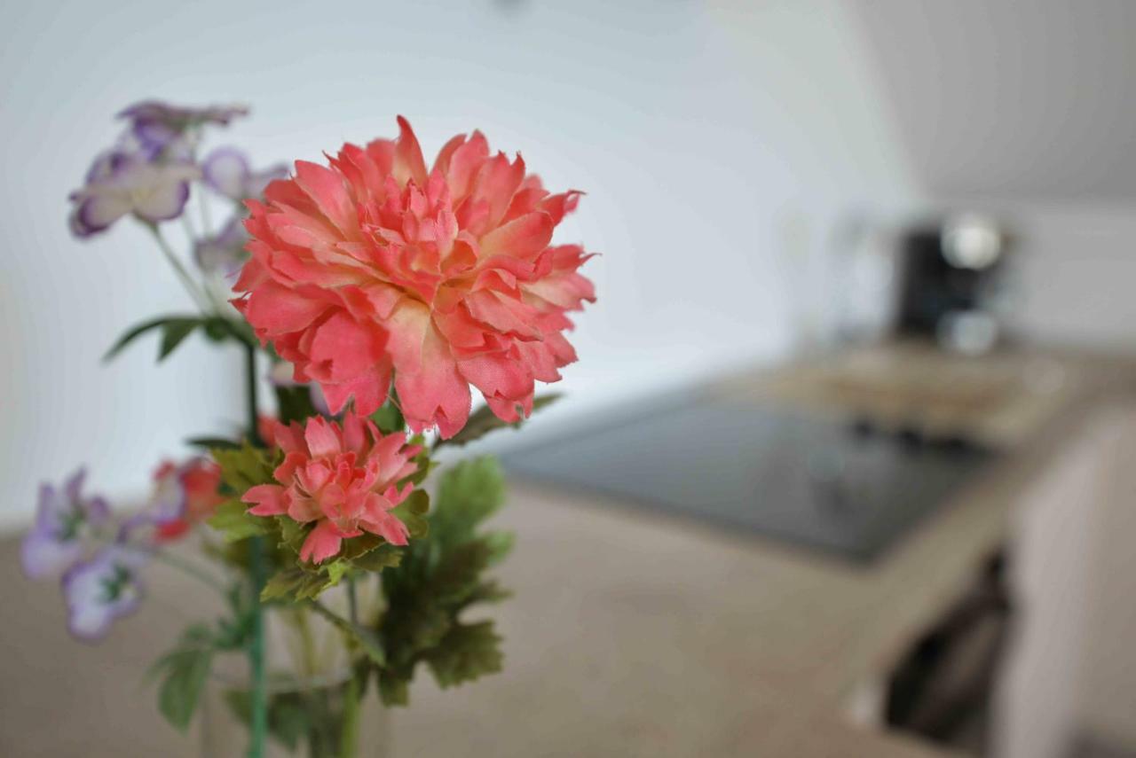 Apartmani Mikin Betina  Extérieur photo